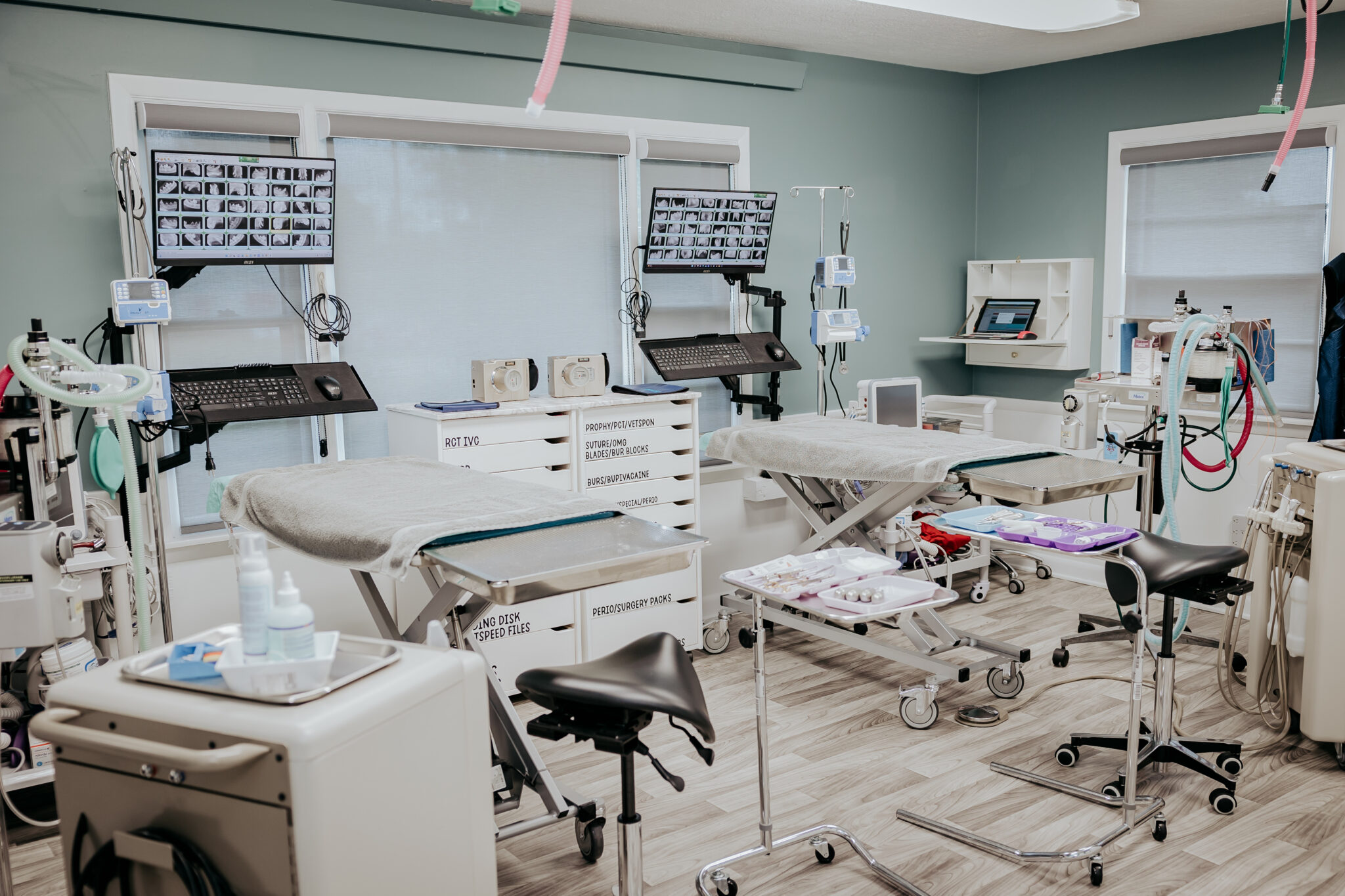 Veterinary Dentistry and Oral Surgery of Ohio