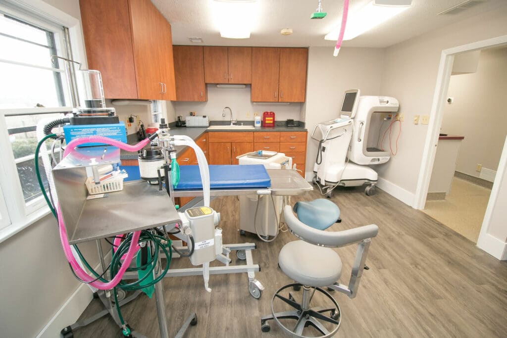 Zoo Dentist Dr. Jamie A. Berning DVM, DAVDC