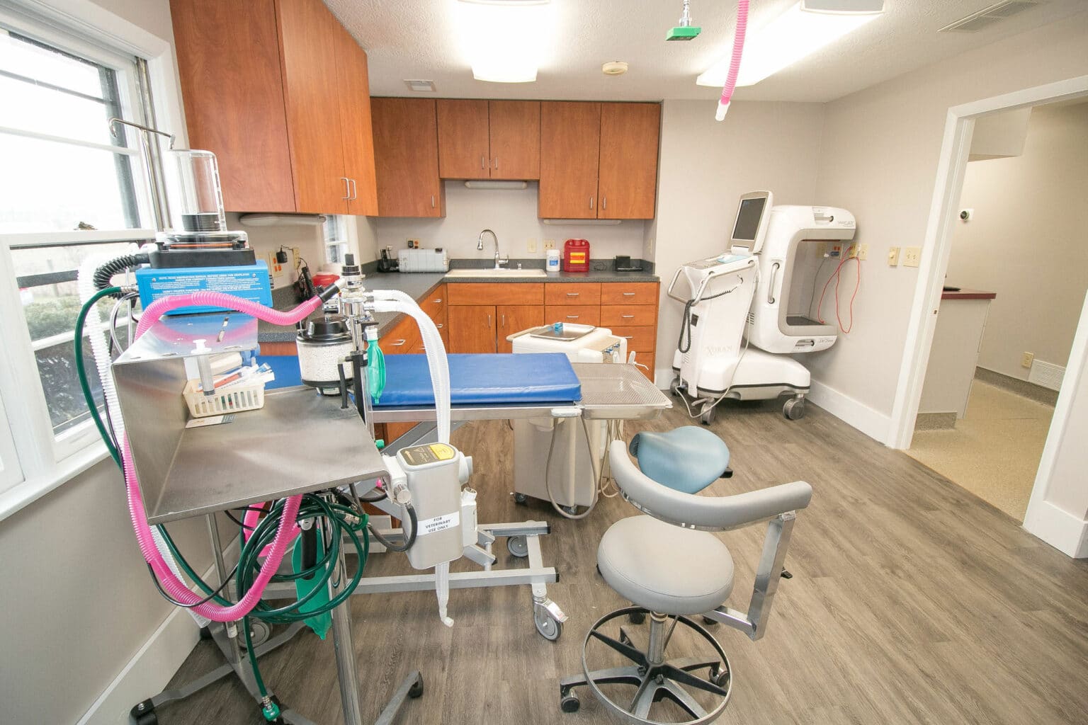 Veterinary Dentistry and Oral Surgery of Ohio