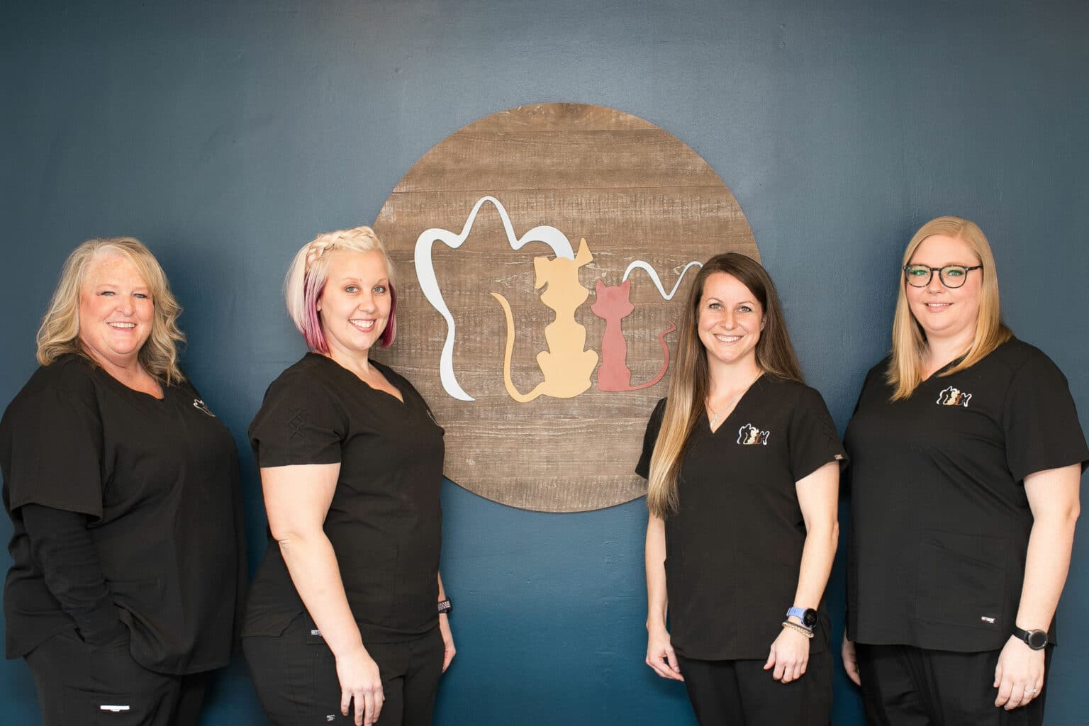 Veterinary Dentistry and Oral Surgery of Ohio