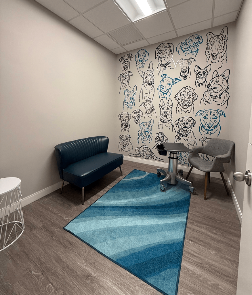 Exam Room Veterinary Dentistry and Oral Surgery of Ohio