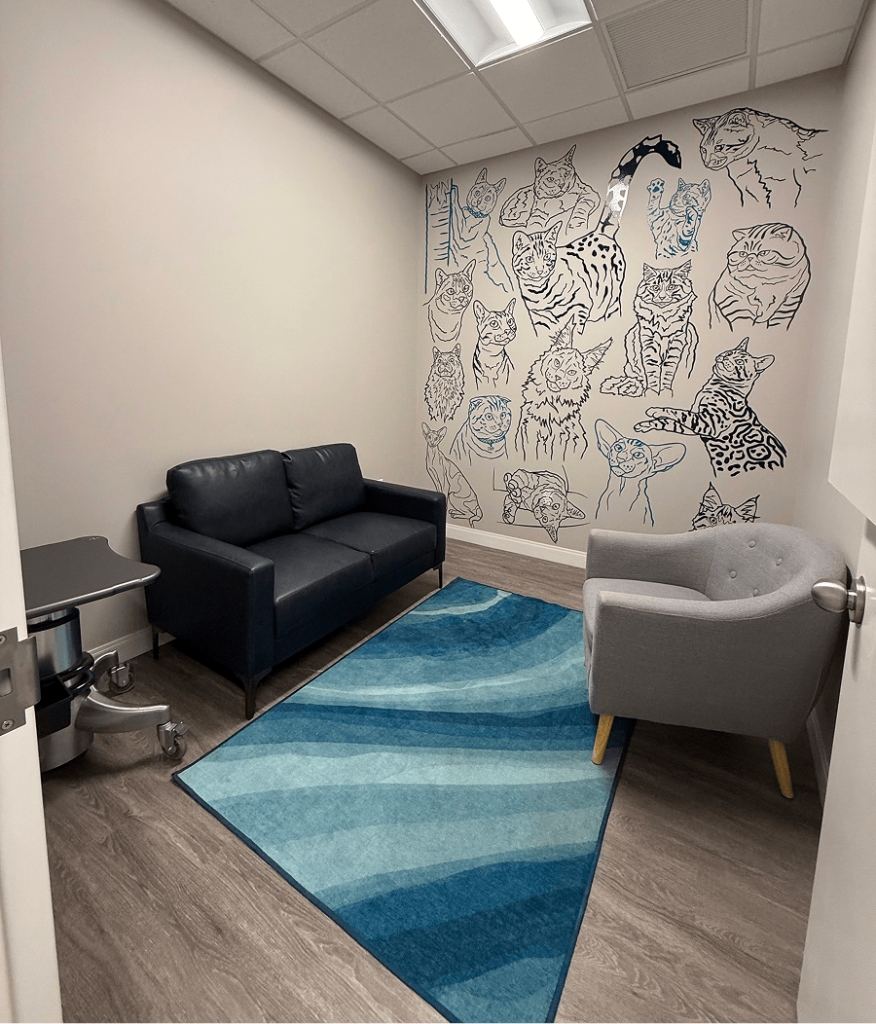 Veterinary Dentistry and Oral Surgery of Ohio Exam Room