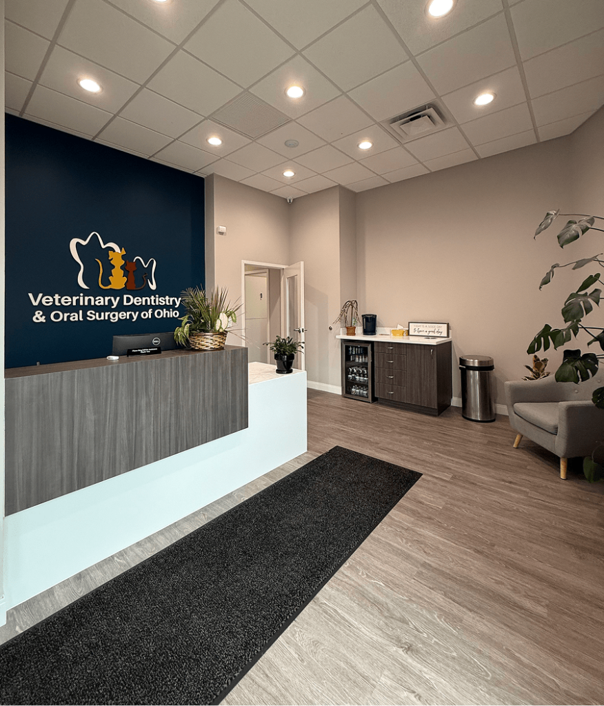 Veterinary Dentistry and Oral Surgery of Ohio Lobby
