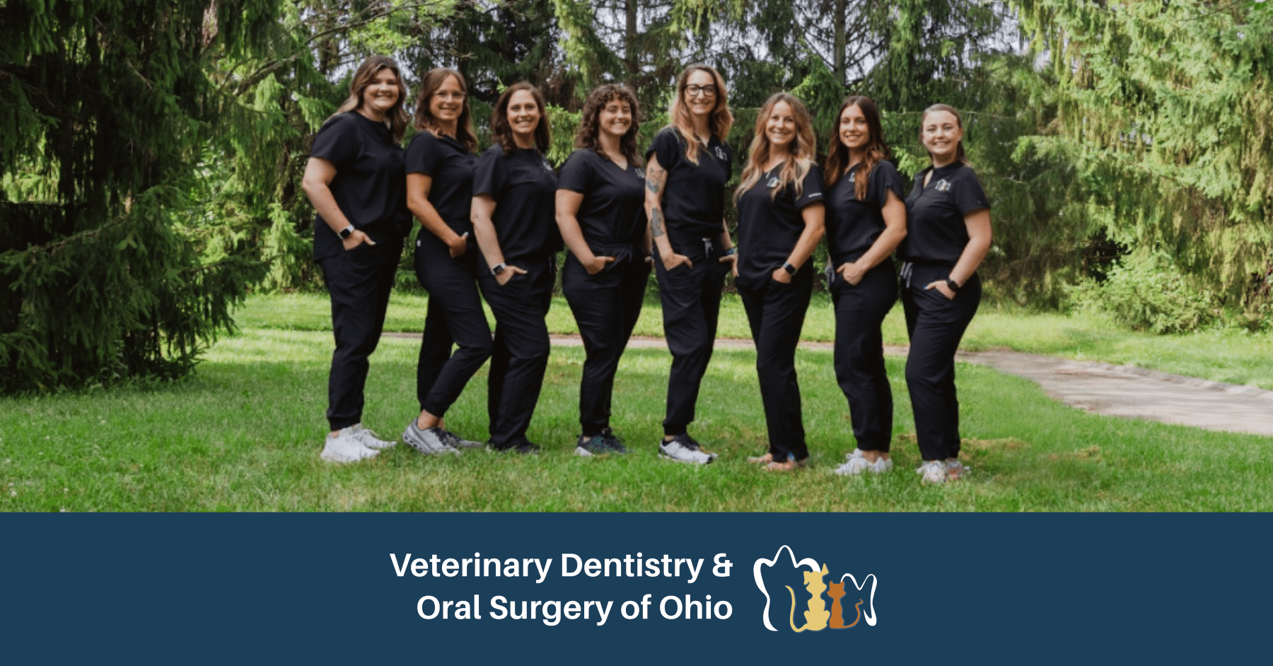 Ohio Vet Dentistry and Oral Surgery of Ohio Featured Image