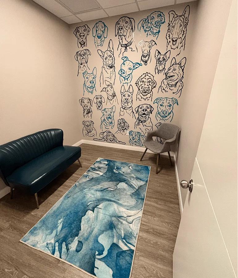 VDOSO Veterinary Exam Room