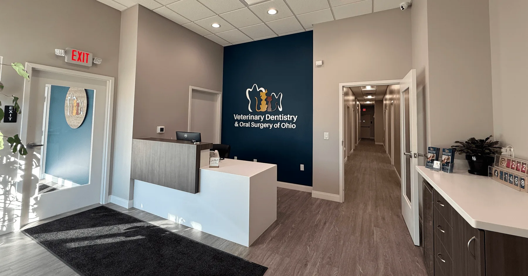 Veterinary Dentistry and Oral Surgery of Ohio Featured Image