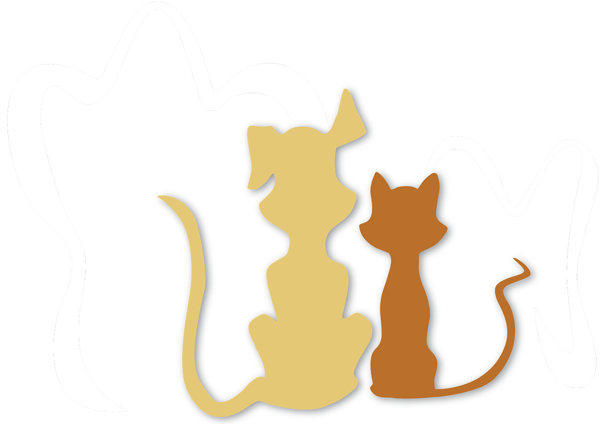 Veterinary Dentistry & Oral Surgery of Ohio