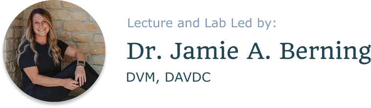 Dental Extraction Lecture and Lab VDOSO Led by Dr. Berning